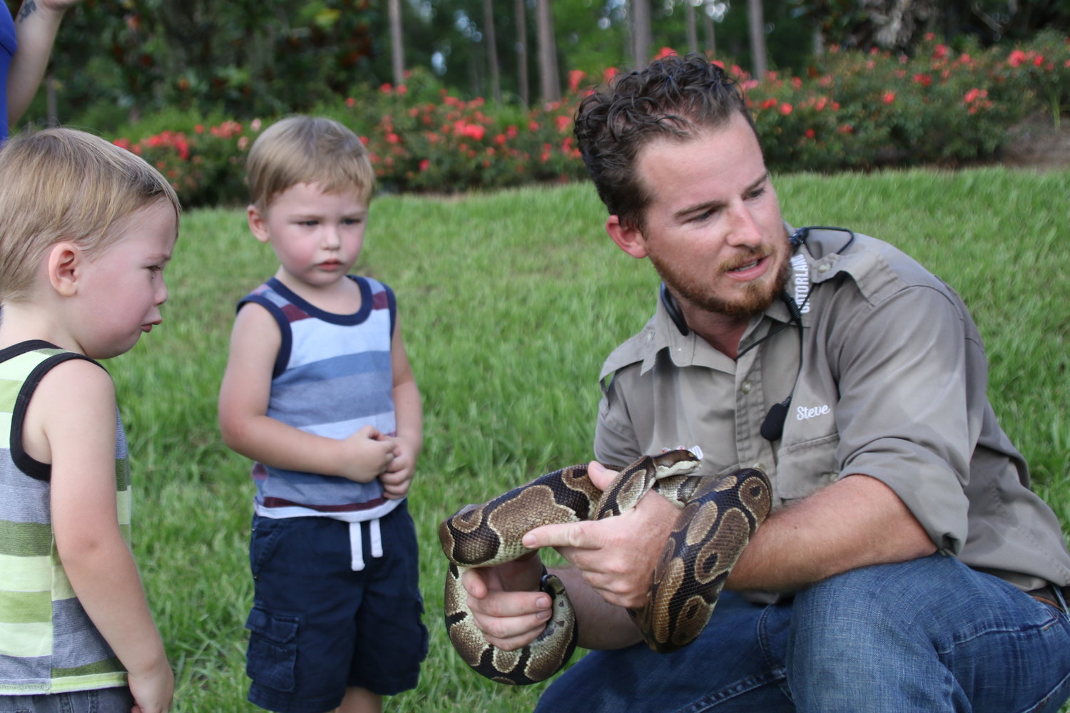 Gatorland’s Stephen Thompson, right, holds a large snake. Donovan and Brendan Muir, both 2 years old, were unsure if they wanted to approach the reptile.